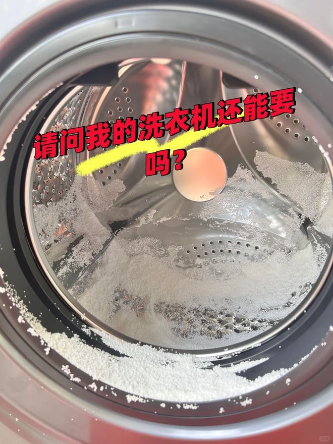 机”洗的东西东西洗坏不说还伤洗衣机AG凯发K8国际6种不要“放在洗衣(图3)