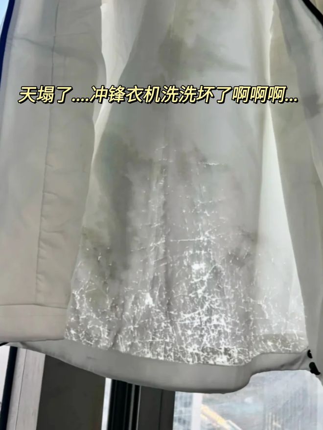机”洗的东西东西洗坏不说还伤洗衣机AG凯发K8国际6种不要“放在洗衣(图5)