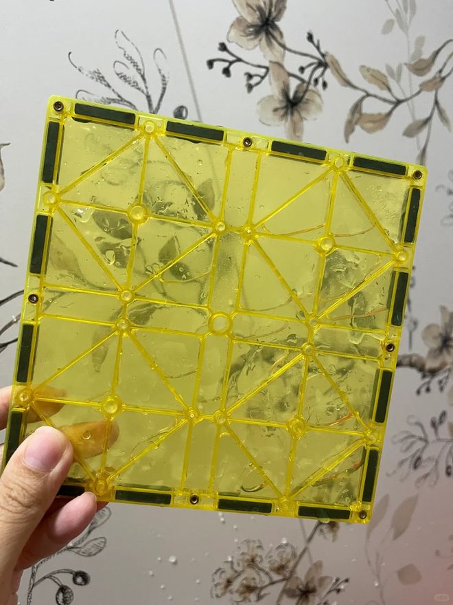 机”洗的东西东西洗坏不说还伤洗衣机AG凯发K8国际6种不要“放在洗衣(图11)
