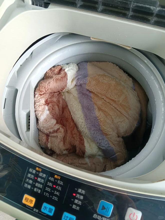 机”洗的东西东西洗坏不说还伤洗衣机AG凯发K8国际6种不要“放在洗衣(图15)