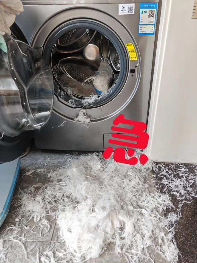 机”洗的东西东西洗坏不说还伤洗衣机AG凯发K8国际6种不要“放在洗衣(图18)